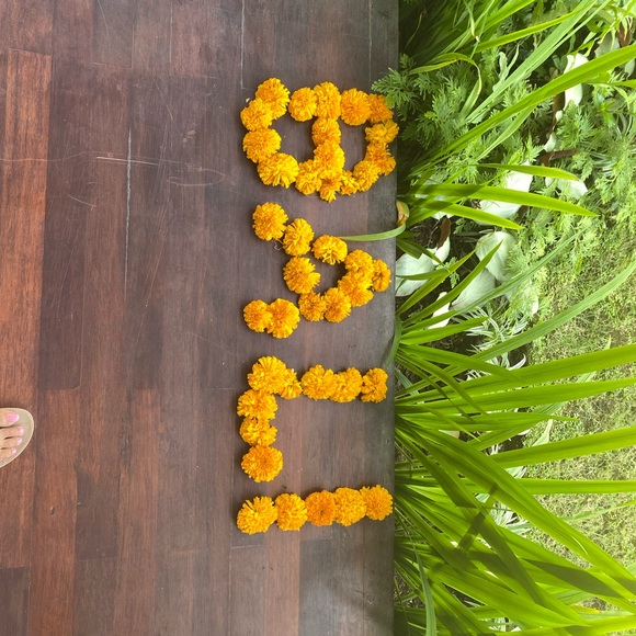 Meet your Posher, Chris - Picture 5 of 16